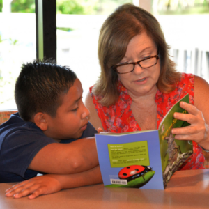 Dive Into Reading 8
